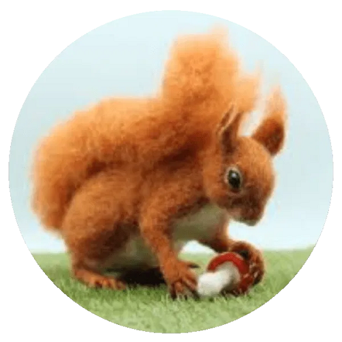 Naaivlit pakket - eekhoorn