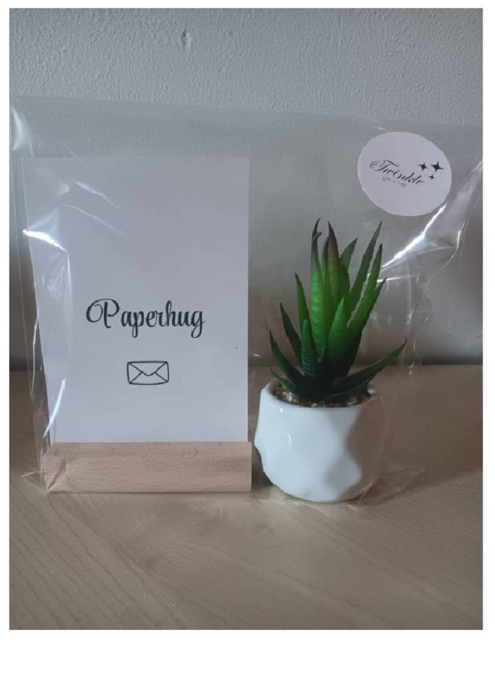 Cadeaupakketje met kunstplantje