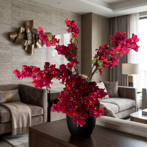 Bougainvillea